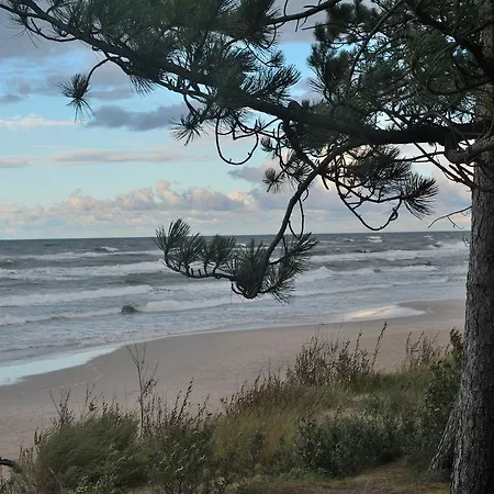 Victor - Sea View Cliff