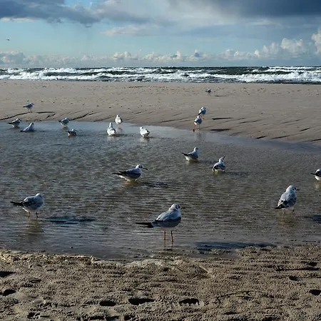 Habitación en casa particular Victor