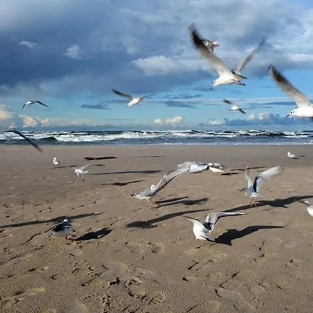 民宿 Victor - Sea View Cliff *