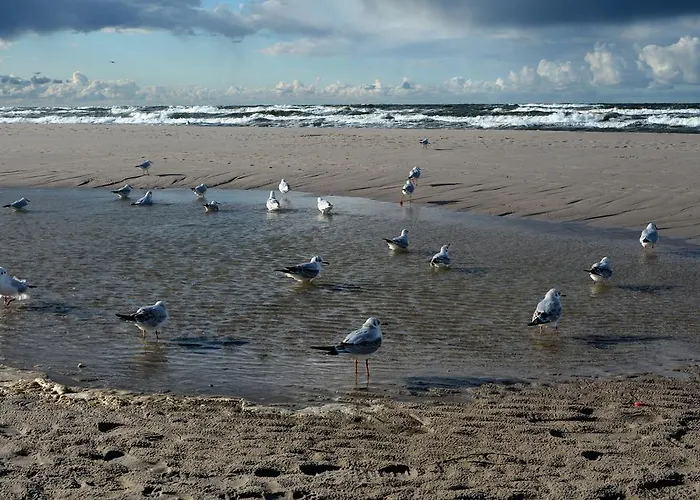 Privat bolig Victor - Wdiok Na Morze - Najpiekniejszy W Polsce - Sniadanie W Cenie