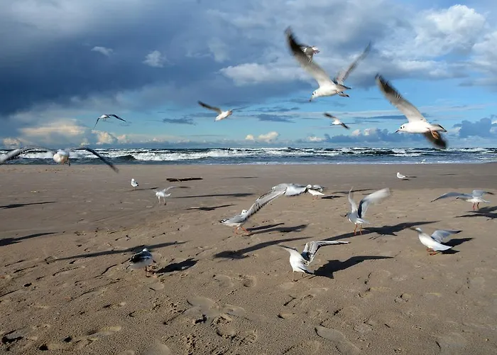 Privat bolig Victor - Wdiok Na Morze - Najpiekniejszy W Polsce - Sniadanie W Cenie *